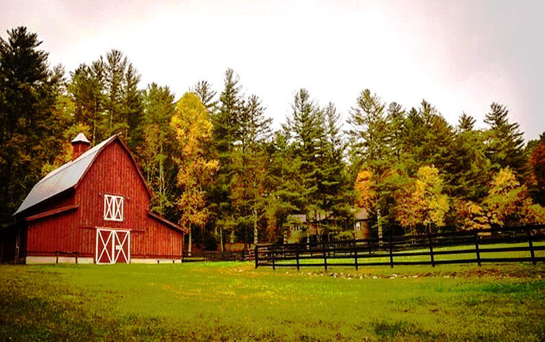 farm copy